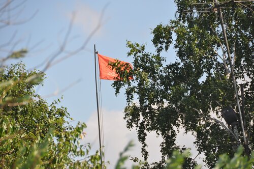 DSC_0036_r